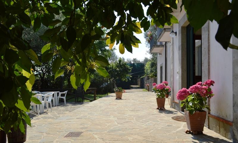 Il Casale Sorrento Hotel Kültér fotó