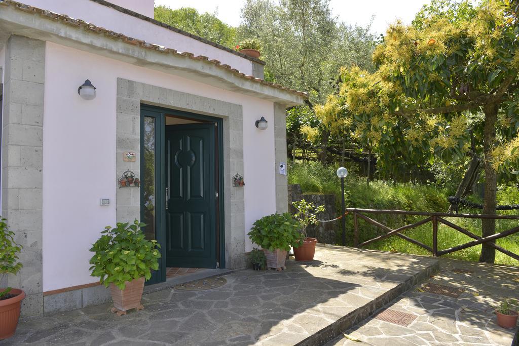 Il Casale Sorrento Hotel Kültér fotó