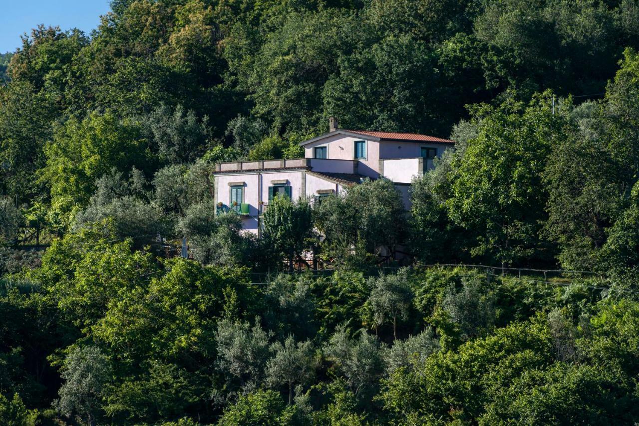 Il Casale Sorrento Hotel Kültér fotó