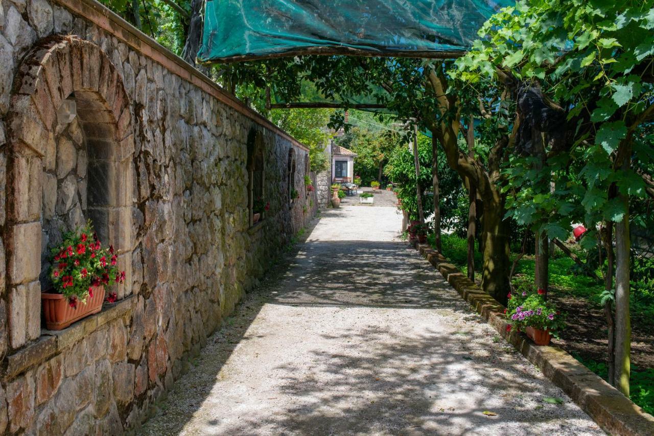 Il Casale Sorrento Hotel Kültér fotó